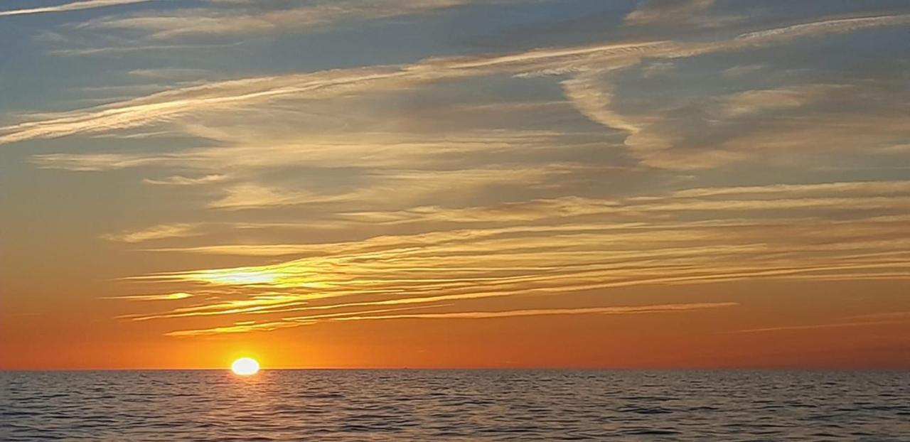Fewo Cesar Manrique - Albufeira, Portugal エクステリア 写真